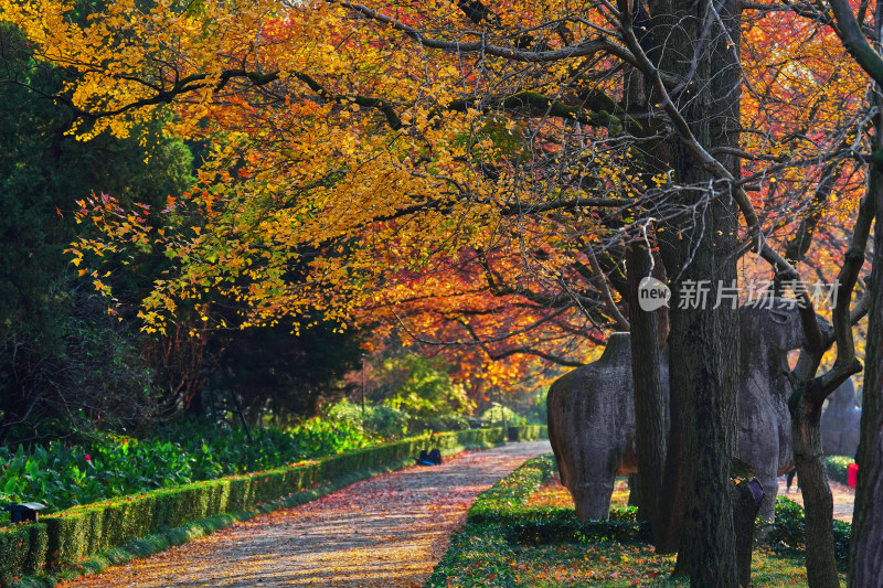 南京钟山石像路