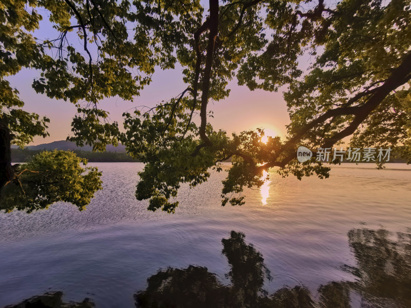 西湖的金色夕阳美景