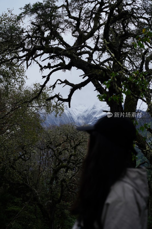 四姑娘雪山旅游的人