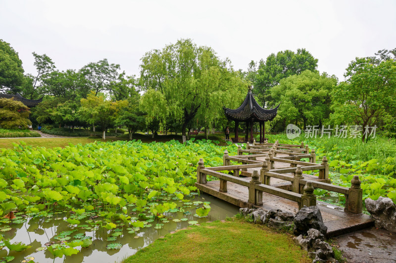 梅雨季节的苏州昆山亭林园