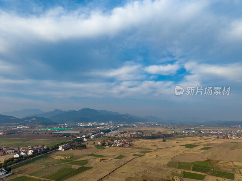 集中乡村田园风光航拍图