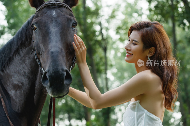 漂亮的青年女人抚摸骏马