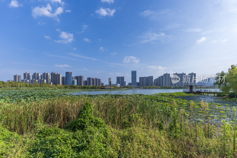 武汉江夏中央大公园风景