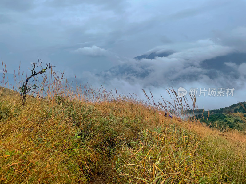 广东惠州大南山高山草甸云海