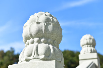 石制莲花雕塑特写