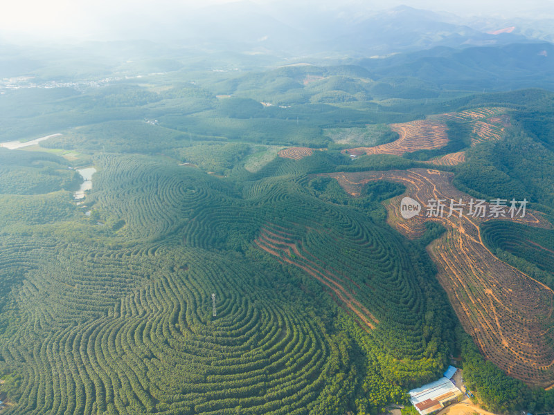 航拍山间梯田茶园田园风光