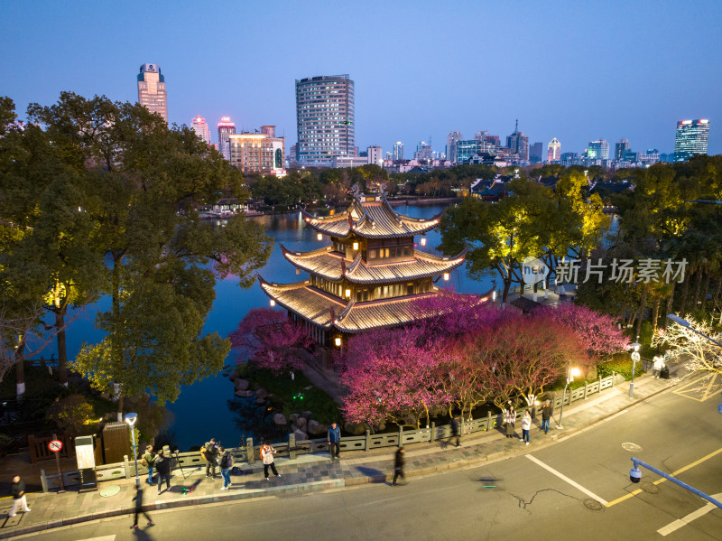 宁波月湖超然阁的梅花开了春天到了