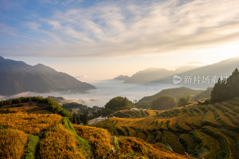 浙江丽水云和梯田景区风光