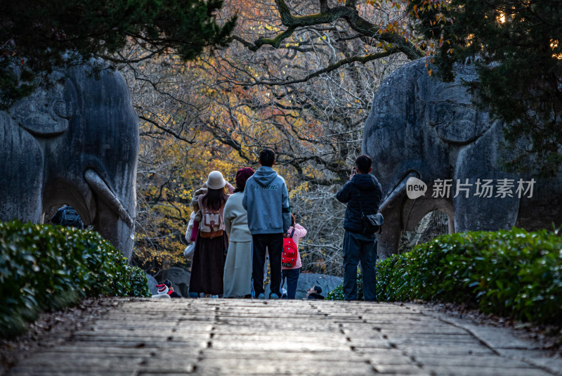 游客参观南京明孝陵石象路神道石像古迹场景