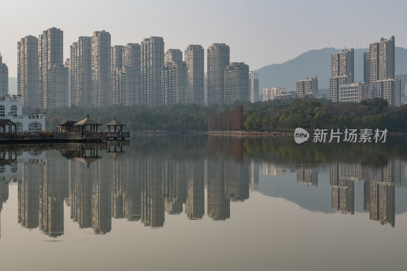 湖畔旁高楼林立的城市景观