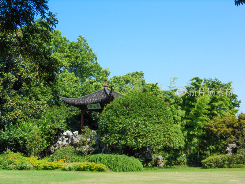 阳光树林绿草地古亭