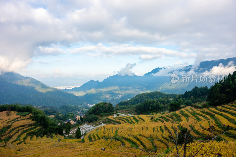 浙江丽水云和梯田景区风光