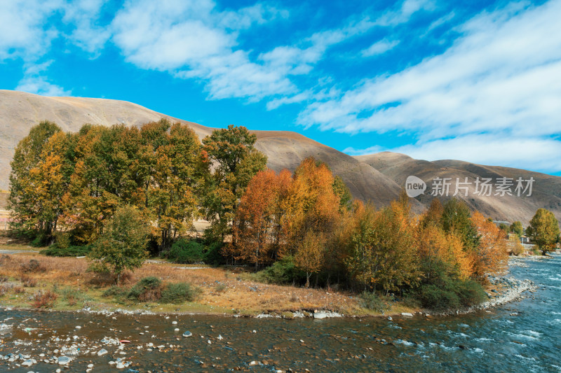 川西新都桥318秋色日出红叶贡嘎美景