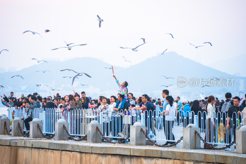 人群聚集在围栏边喂食飞翔的海鸥