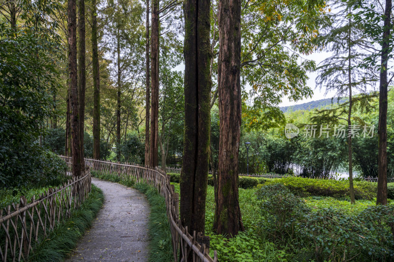 杭州三台山浙商总会风景