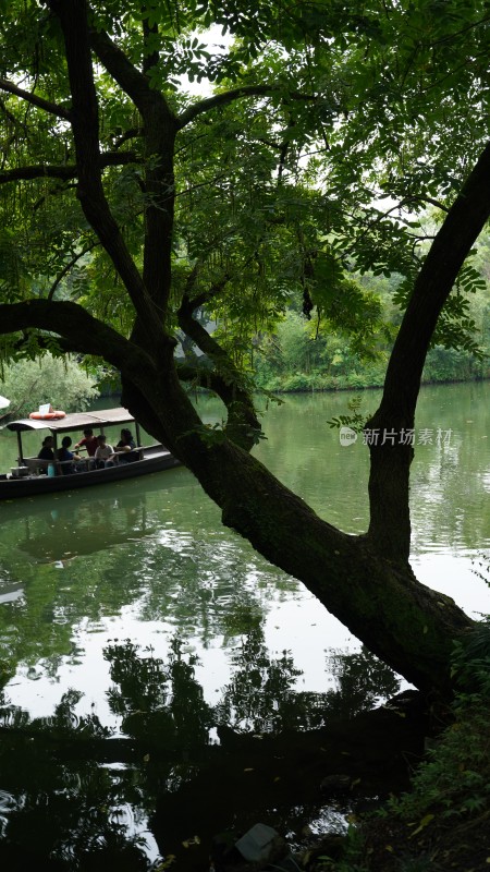 杭州西溪湿地