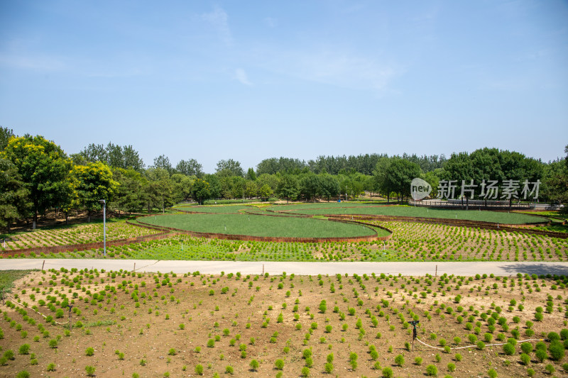 公园庄园农田全景照片