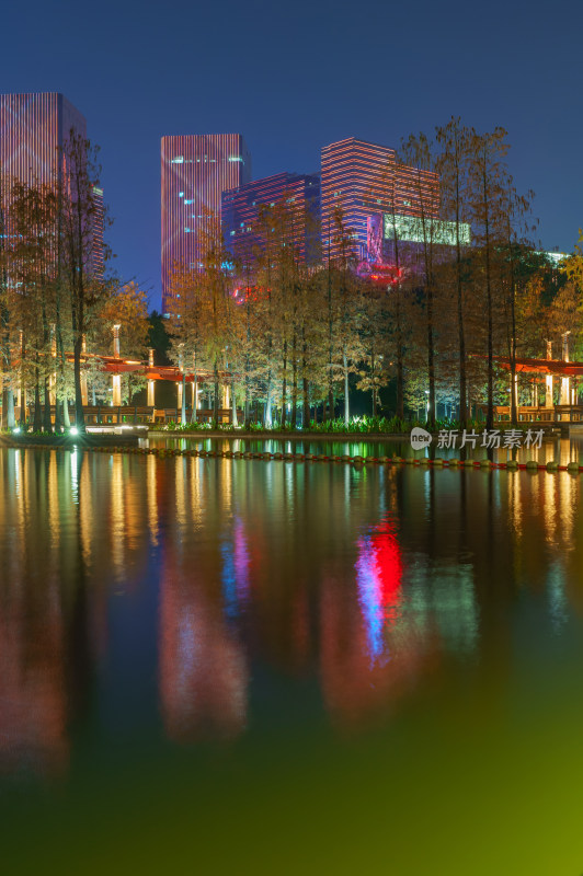 佛山千灯湖公园落羽杉红叶与城市夜景灯光