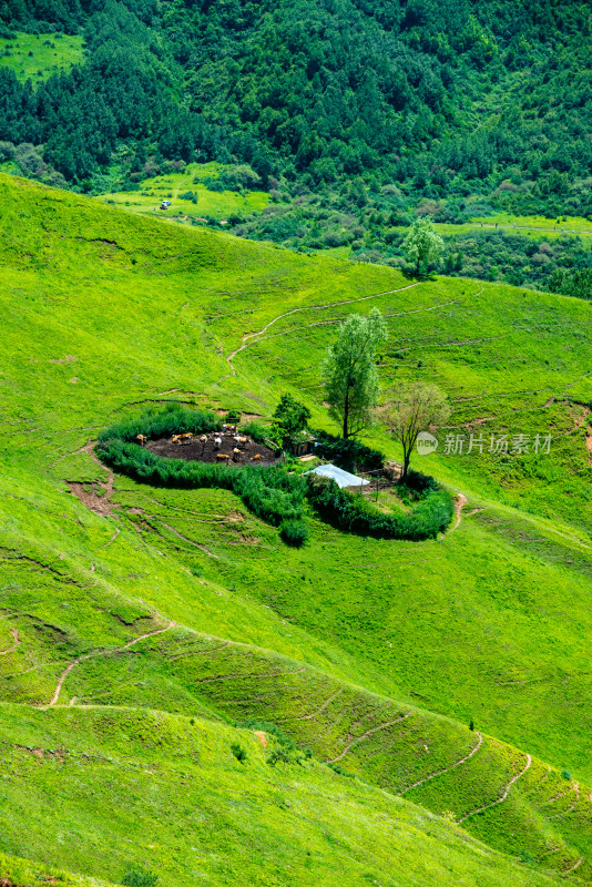 临夏回族自治州太子山耳子屲梁风景区