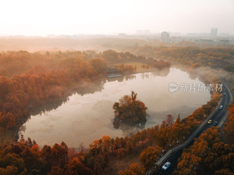 南京中山植物园前湖秋季风光