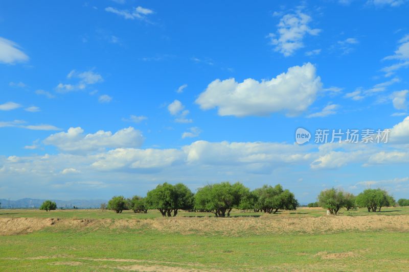 治愈系风景