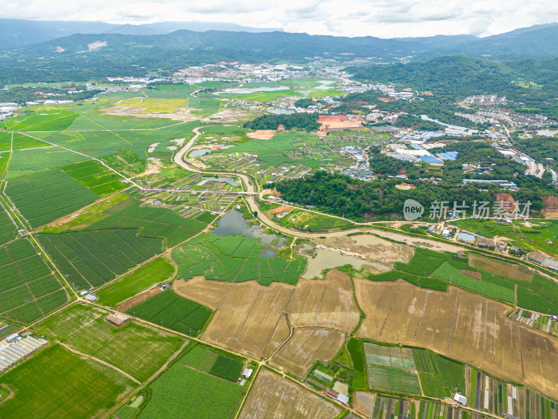 航拍乡村农田田园风光