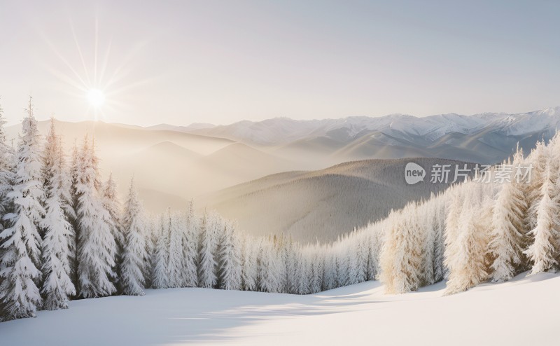 冬季森林白雪覆盖风景