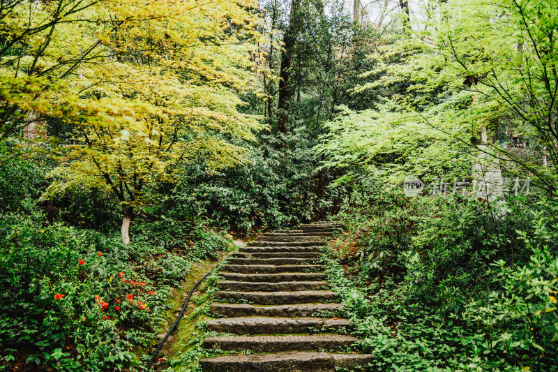 长沙岳麓山