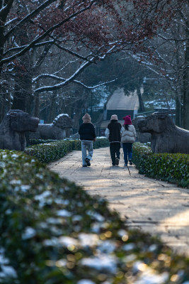 南京明孝陵石象路神道雪景