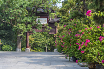 武汉武昌区黄鹤楼公园风景