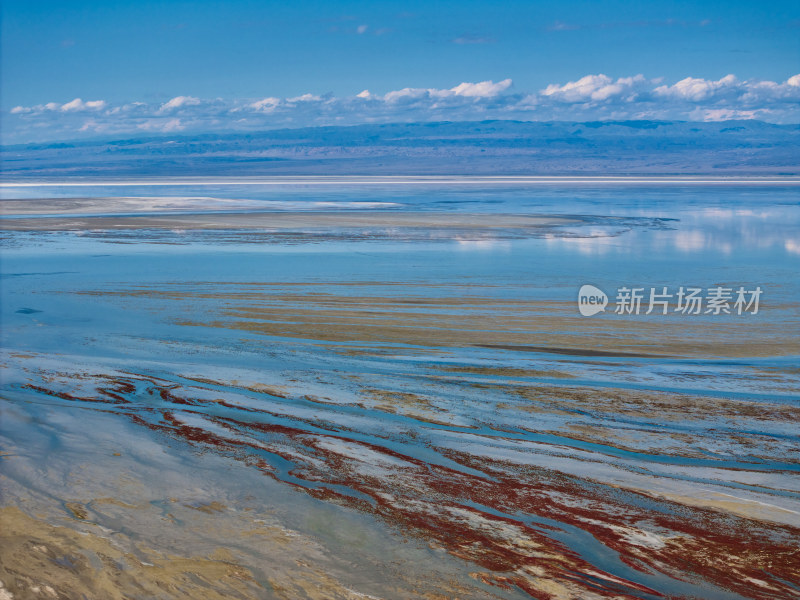 新疆艾比湖湿地