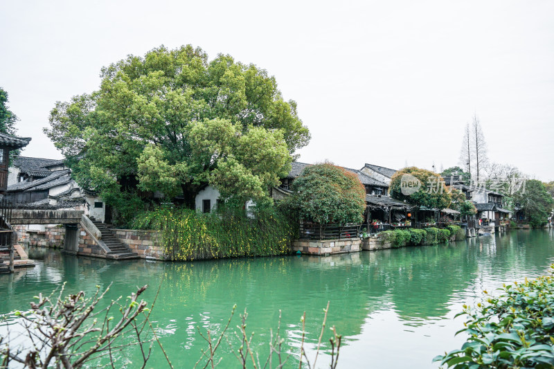 浙江省嘉兴市桐乡市5A景区乌镇西栅景区