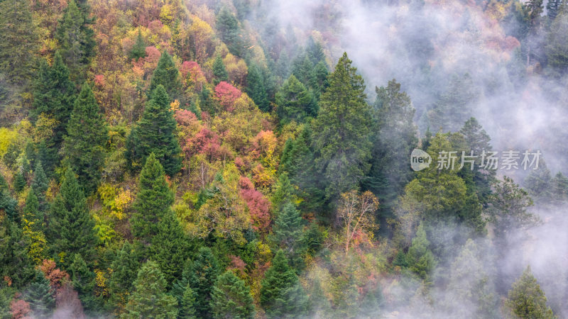 阿坝州黄龙风景名胜区秋色