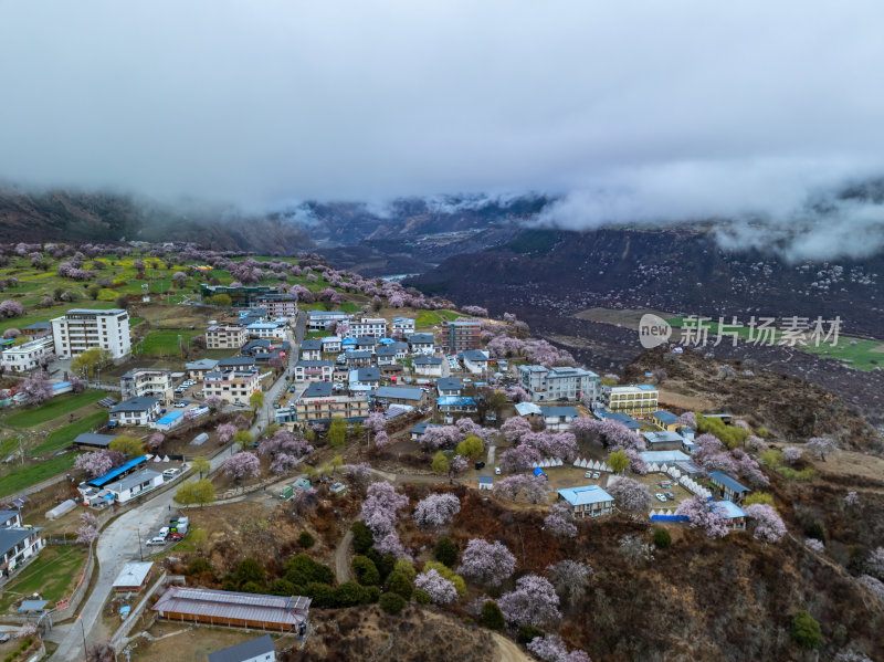 西藏林芝桃花节云雾航拍