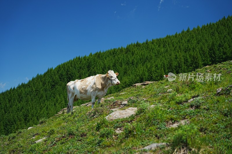 五台山南台风光