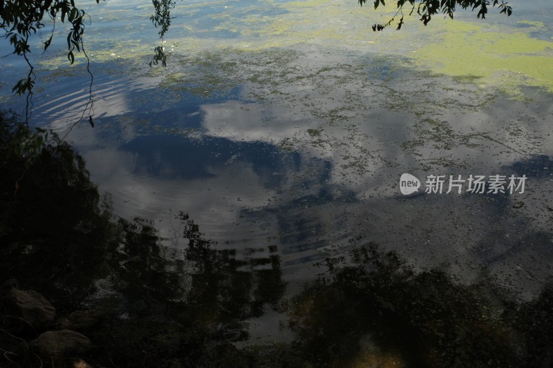 水面倒影呈现天空云彩与周边树木