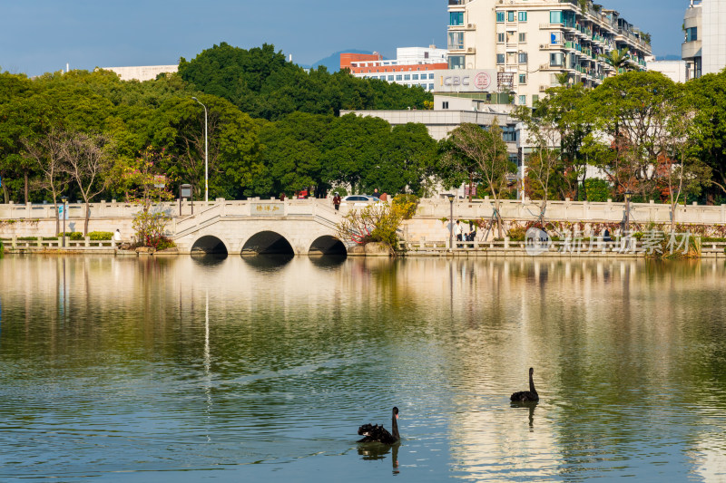 福州黎明湖公园景色