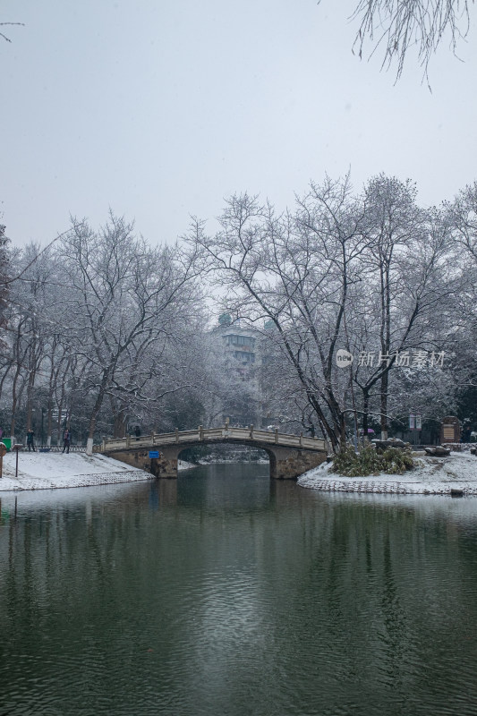 雪中树林小路 冬日唯美自然景观