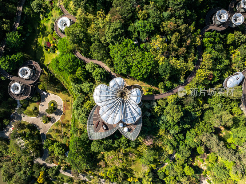 广州云萝植物园实景高空航拍照片