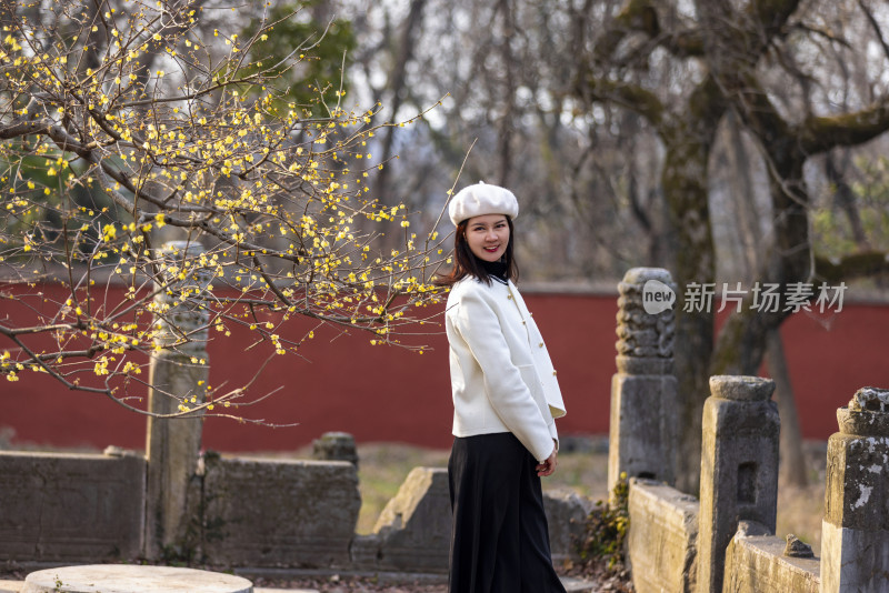 南京明孝陵站在红墙腊梅旁的女人