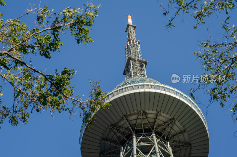 仰拍青岛电视观光塔