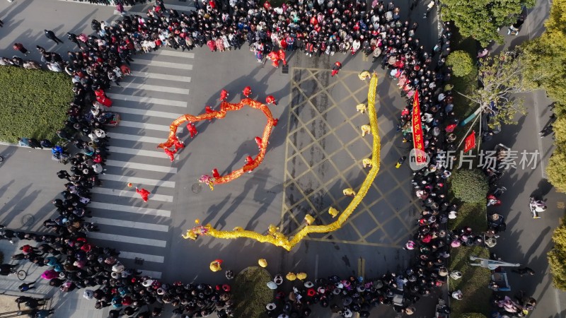 节日舞龙庆祝