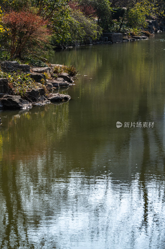 上海植物园冬天景观