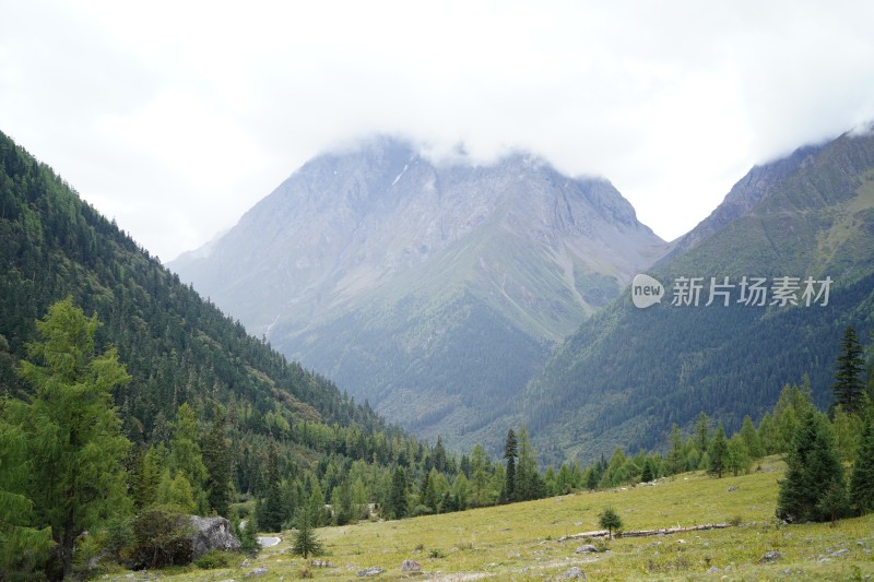 四川阿坝藏族羌族自治州四姑娘雪山风貌