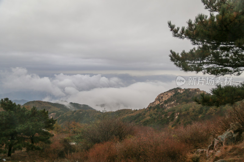 云海 山峰 山峦 清晨 泰山 唯美 秋色 秋天