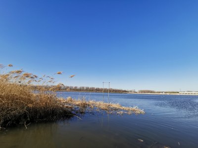 沙河水库-02