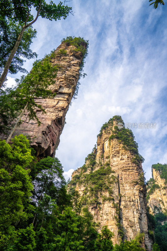 中国湖南张家界景区奇特山峰与茂密森林