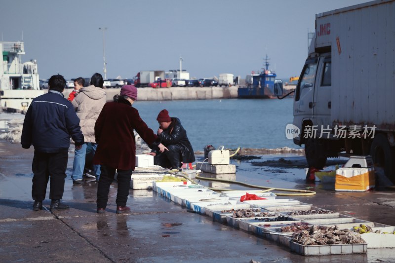 海边码头人们忙碌的水产交易场景