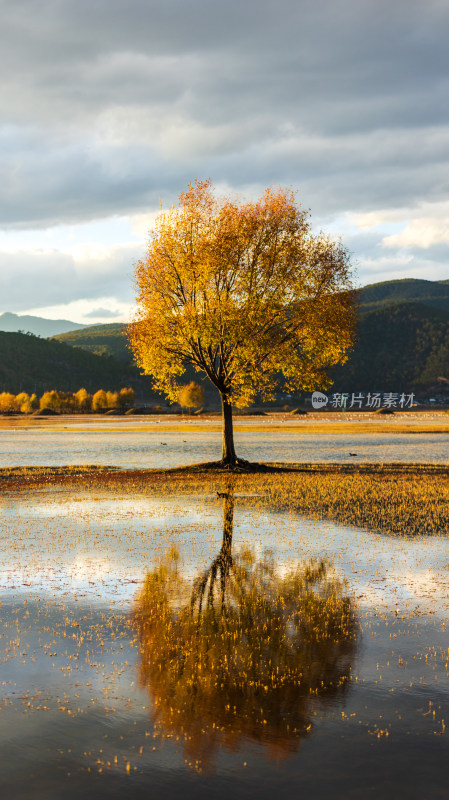 丽江拉市海冬季候鸟湿地公园风光