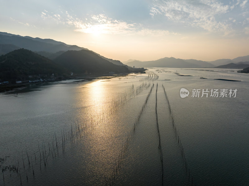 福建宁德霞浦县城红树林涂滩高空航拍